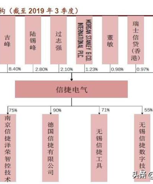 学生编程必知，引领未来的科技巨头公司排名