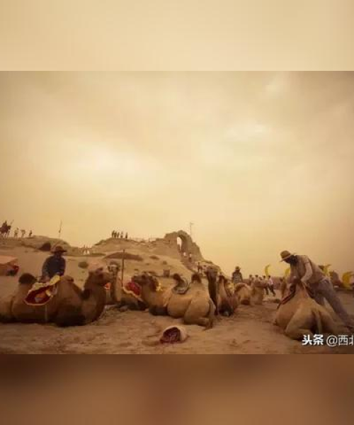影城公司排名揭秘，中国影视产业巨头榜单重磅出炉！