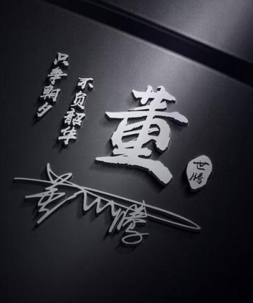 励志箴言，照亮人生之路的成熟智慧语录