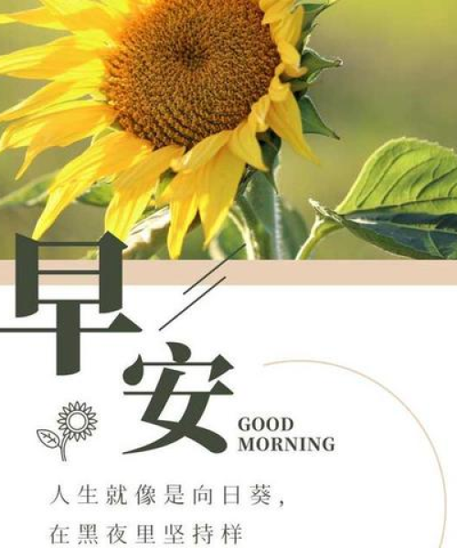 励志人生，简短语录，深刻启发心灵成长