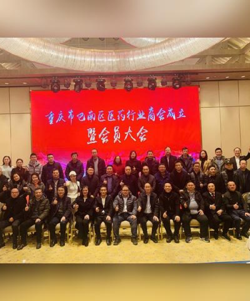 重庆医药销售公司排名大揭秘，探寻行业领军者的成功之道