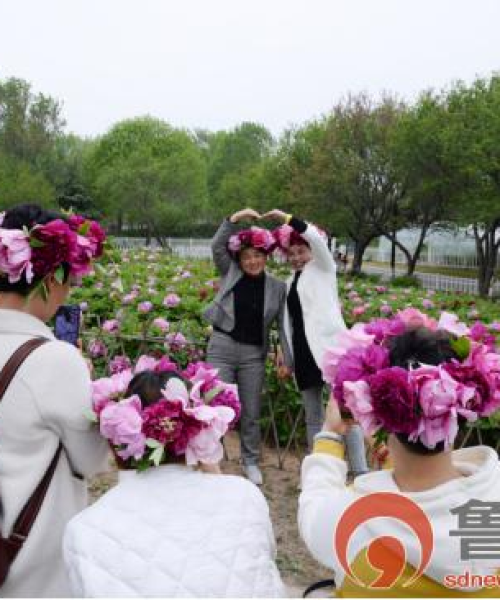 山东云旅游攻略揭秘，云端之上的魅力探索之旅
