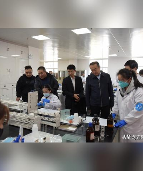 药品检测设备公司权威排名榜，行业内顶尖企业一览