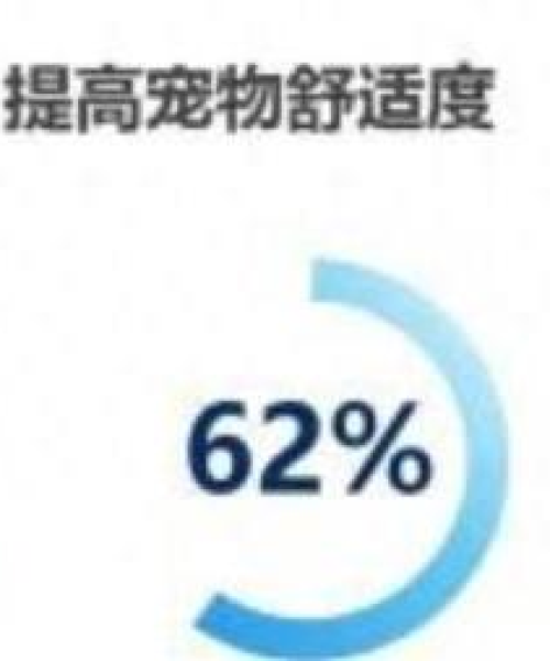 今日宠物新闻热点速递，聚焦宠物界最新动态与热点热议