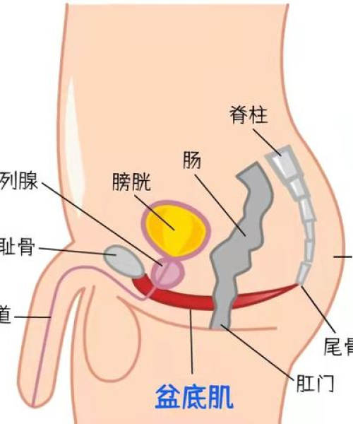 尾巴骨疼男性必看，疼痛原因及应对之策