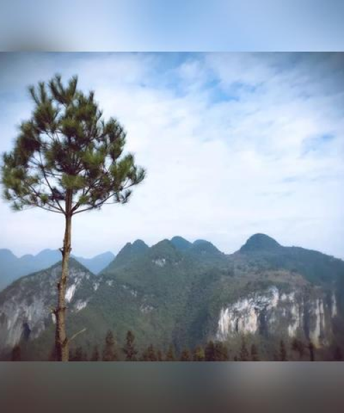 世界迷人乡村排名揭晓，探索无与伦比的旅游村魅力