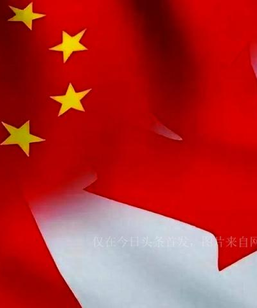 台湾新闻热议，国民关注度最新头条解析