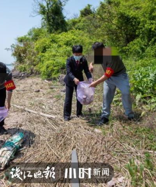 宁海钓鱼秘籍，最新攻略与信息全解析