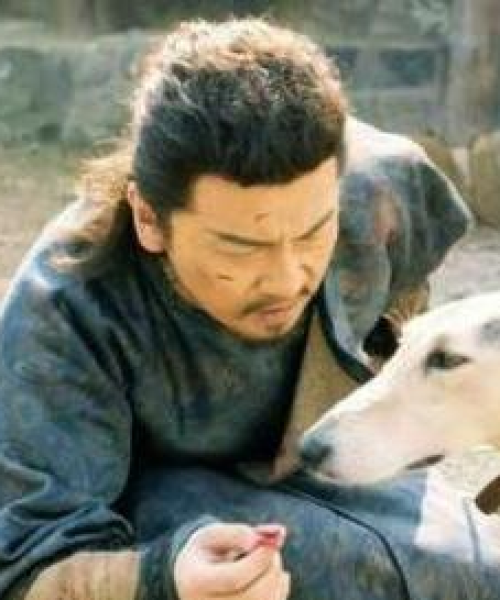 揭秘顶级狼狗品种前十排名，深度解读其独特魅力与特质