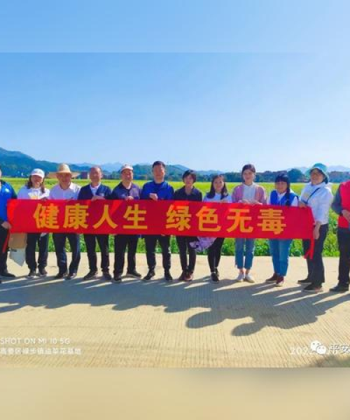 高要莲塘新篇章，引领乡村发展，最新消息揭秘！