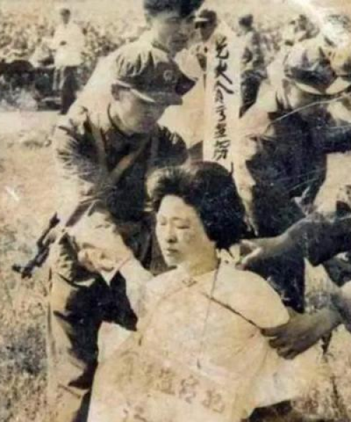 揭秘数字时代情感新诠释，小情人百度下的浪漫故事