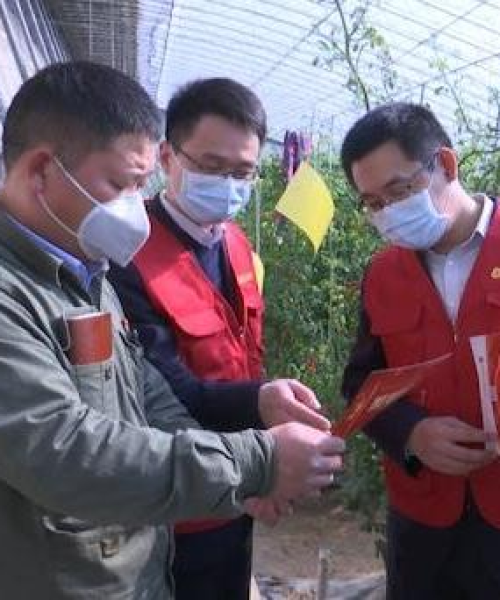 天丰股份最新股价动态，洞悉金融市场趋势与走向