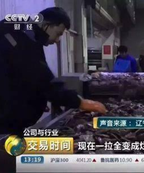獐子岛海域探秘指南，最新图片带你领略海域魅力，位置攻略全解析！