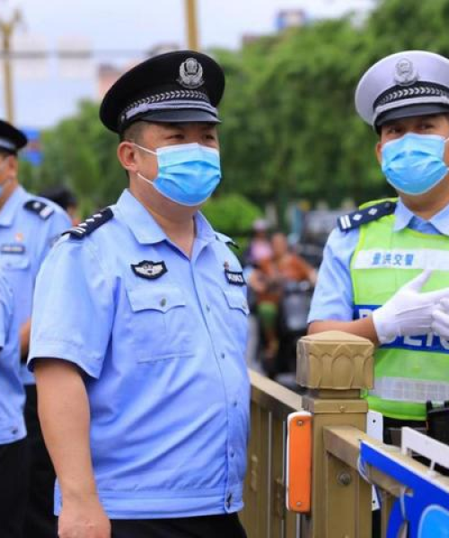 西双版纳中学排名前十解读，优质教育资源分布探秘