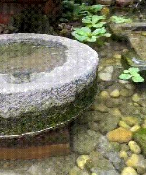 大理火锅前十佳榜单揭晓，古都美食之旅不容错过！