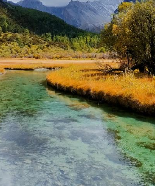 重庆稻城亚丁旅游攻略，探秘人间仙境之旅