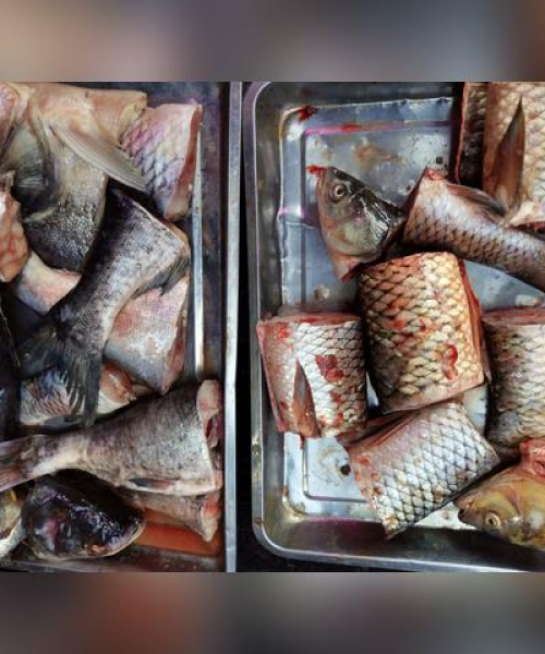 最新今日牛肉菜价一览，洞悉市场变化，掌握生活消费动态