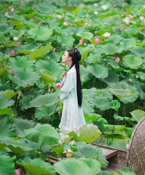 山东最新旅游攻略揭秘，探索精彩之旅，尽享山东魅力