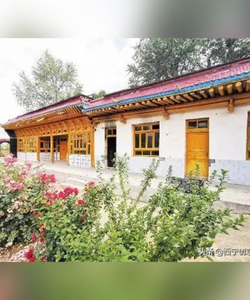 洛阳与青海，时空穿越之旅攻略全解析