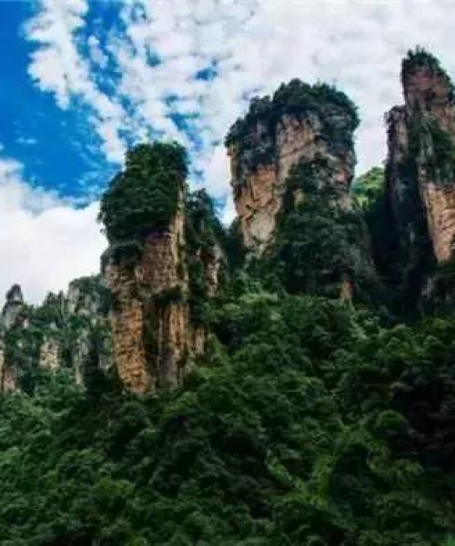 东莞画廊二期规划揭秘，最新图片探索艺术新境地