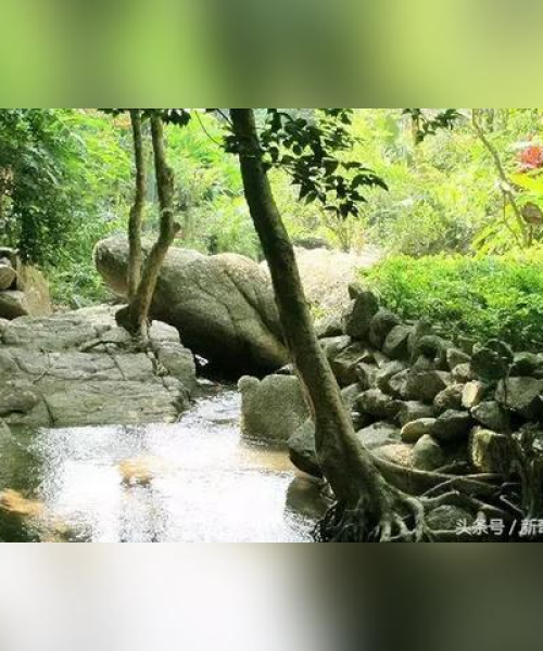 彩蝶湾游玩指南，探索绝美风光，尽享惬意假期！