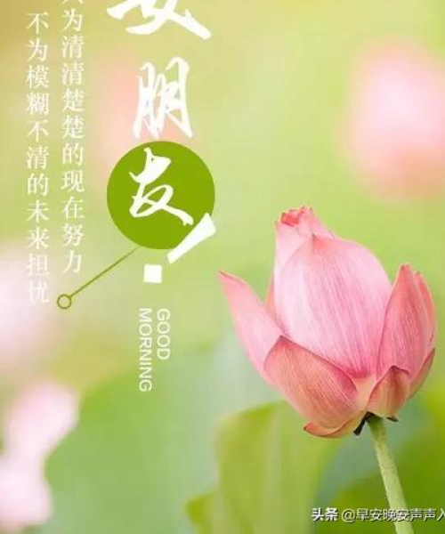 励志语录与歌曲视频，激发潜能的无穷力量