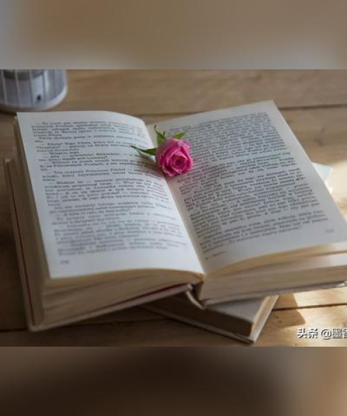 自律塑造未来，励志学生心灵箴言