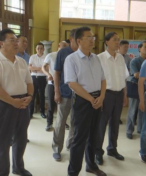 山东新泰市东城热点新闻速递