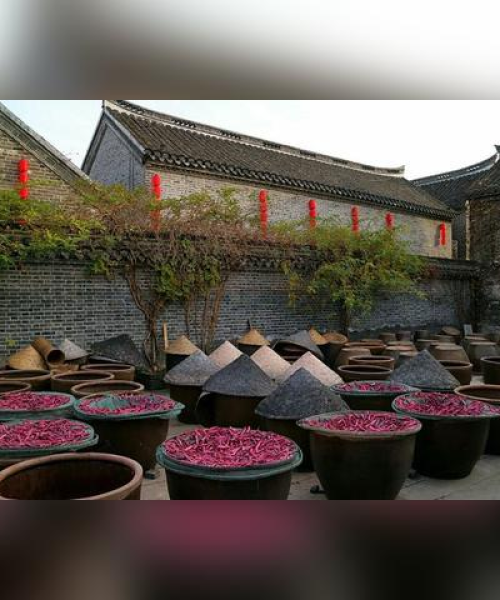 心灵治愈之源，鸡汤语录与励志电影的交融之旅