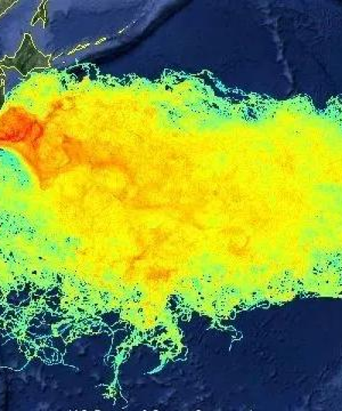 日本股市最新行情分析，今日走势揭秘