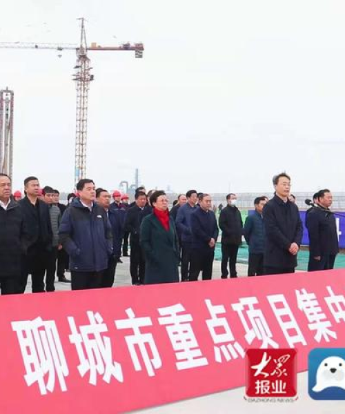 阳谷新闻今日综述，最新消息全解析