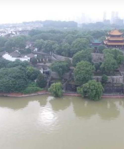 城陵矶新闻头条，最新报道汇总