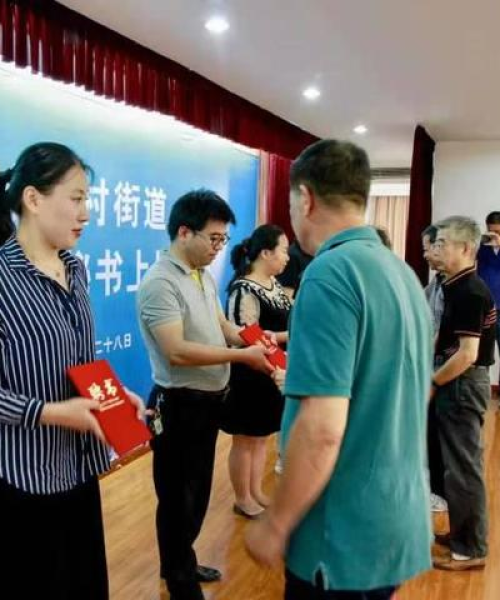 全球森林砍伐排名背后的真相与深刻启示