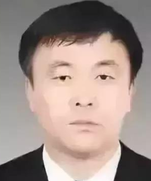 沛县公司网站排名大揭秘，深度解析优质网站，排名谁家更靠前？