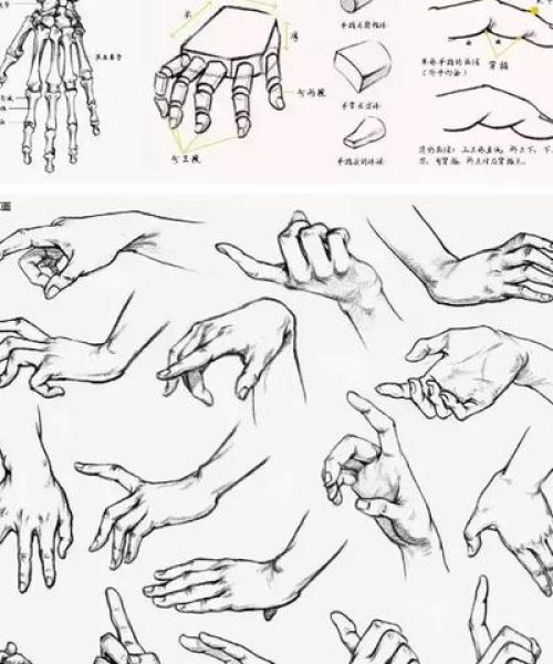 重磅更新揭秘今日素材最新版，全新视界，激发无限创意探索