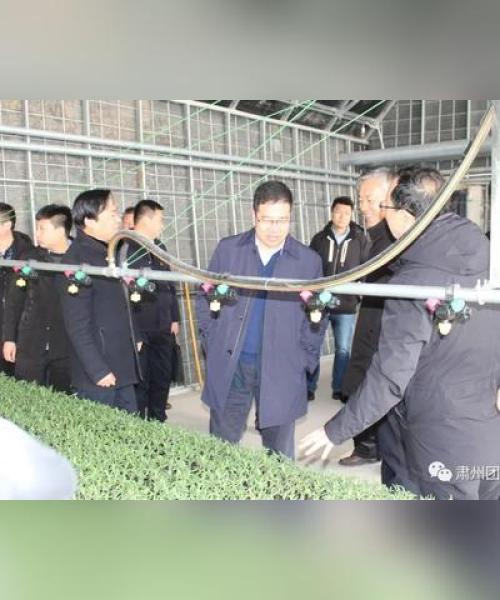 百度收录标准下的吸睛标题，敦煌种业深度探索之旅，共创辉煌未来！