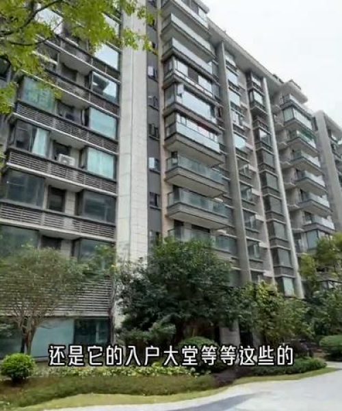揭秘龙湖分公司成功秘诀与市场地位，排名背后的故事！