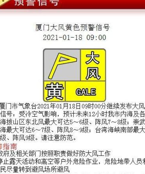 厦门霜冻事件揭秘，最新消息与进展