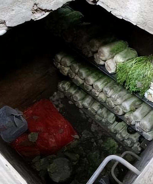 苏红今日说法最新动态，深度解析及预测热议话题