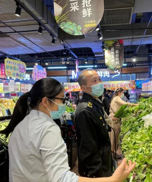物资最新行情，今日价格走势分析，市场趋势预测与深度解读