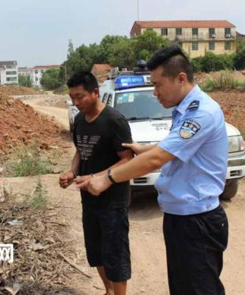 徐八月撞人事件真相深度剖析