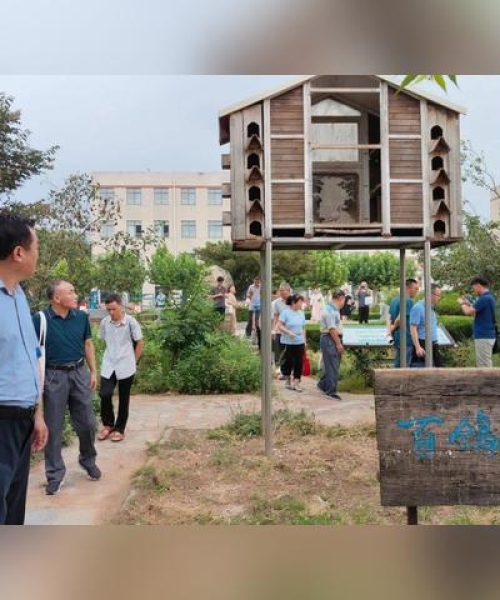 肥城初中教育质量见证，前十名校榜单揭晓