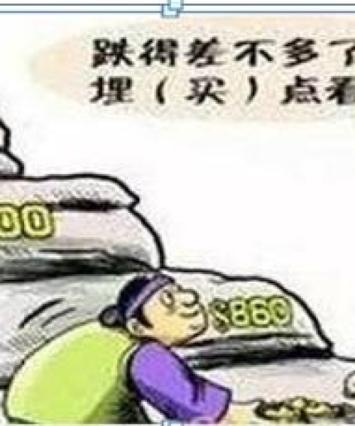 今日股票定投动态，稳健走向成功之路