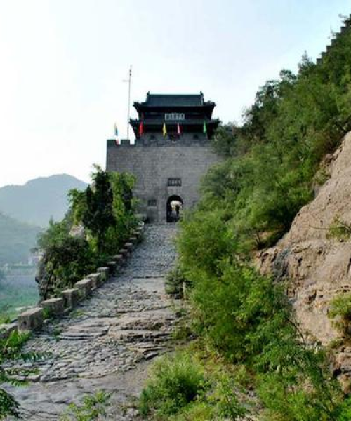 山西养殖水帘公司排名大揭秘，探寻行业佼佼者！