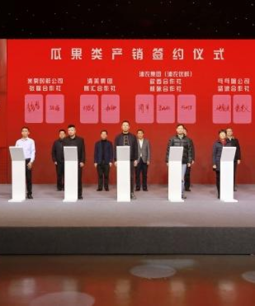 揭秘浦东地产排名前十，最受欢迎的房地产项目大盘点！