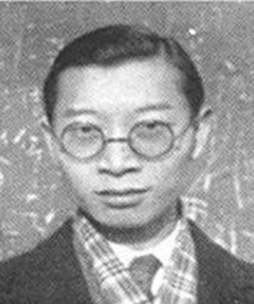 世界十大女文豪榜单揭晓，探寻女性文学巨匠的辉煌成就与影响力