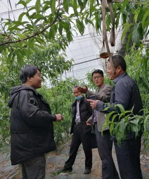郯城非法占地案揭秘，最新进展、真相揭晓与应对策略