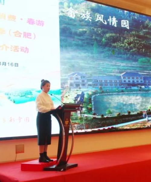 宁国旅游攻略视频，自然美景与人文魅力的绝佳融合探索之旅