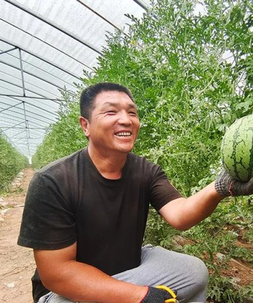 农业托管行业领军企业排名揭晓，业界翘楚一览无余