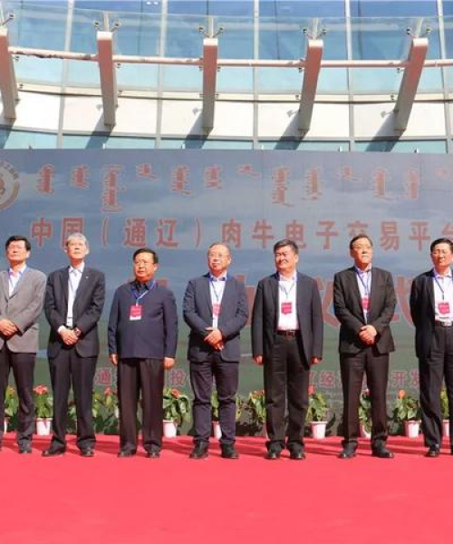 通辽草原深度游攻略，探索无尽魅力之旅